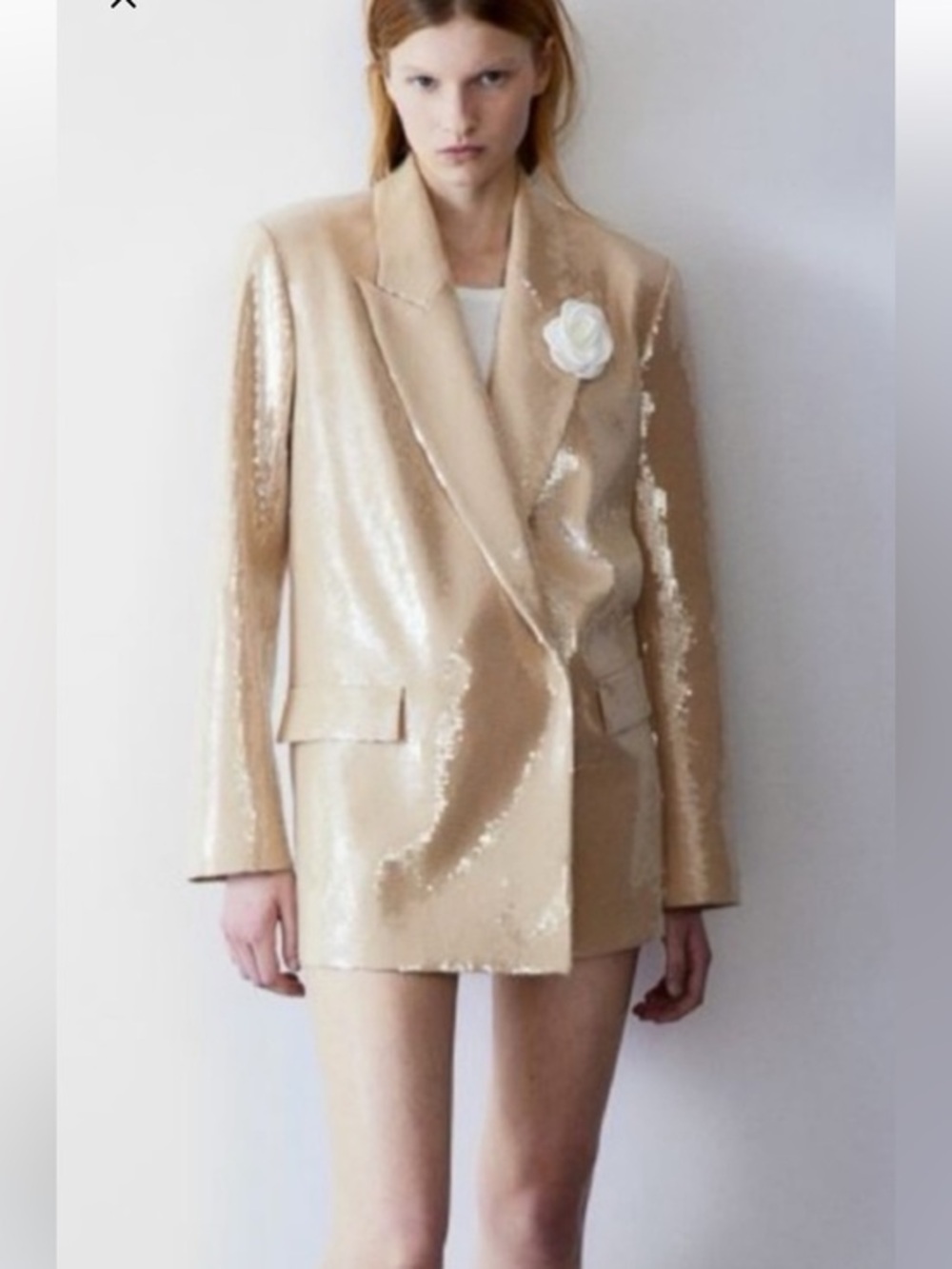 NWT H&M Premium Champagne Sequin Blazer ✨ Retail $189 | Quiet Luxury Glam |